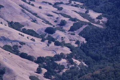 DSC_2232 (Large).JPG